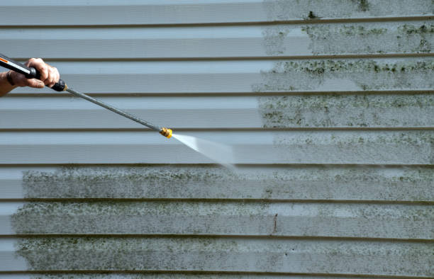 Best Mold Inspection  in Romulus, MI